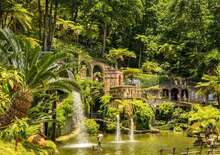 MADEIRA REPÜLŐVEL - Az Atlanti-óceán úszó Virágos Kertje - Budapest, Repülő