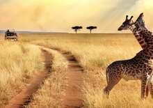 TANZÁNIA - SZAFARI KÖRUTAZÁS ÜDÜLÉSSEL ZANZIBÁRON - Budapest BUD, Repülő