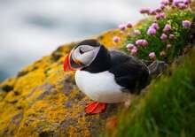 Hotel Cabin*** RE - Budapest BUD, Repülő