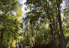 A Myrafälle-vízesés varázsa és a Laxenburgi Kastély pompája - Budapest, Busz