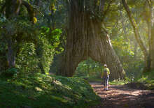 Tanzániai szafari és nyaralás Zanzibáron - Budapest, Repülő