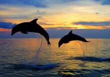 Isztriai kiruccanás - Budapest Budapest, Busz