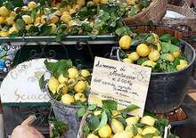 Citromfesztivál Cinque Terre és a csodás Elba szigete 5 nap 4 éj - Budapest Budapest, Busz