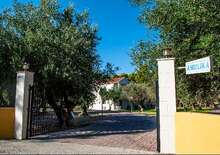 Angelika Stúdiók - Budapest BUD, Repülő