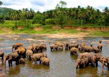 Srí Lanka esszenciája - az örökségtől a felföldekig - csoportos körutazás tengerparti pihenéssel - Budapest Budapest, Repülő