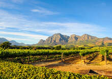 Ahol két óceán találkozik – Dél-Afrika - Budapest, Repülő