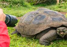 ECUADOR: QUITO ÉS GALÁPAGOS-SZIGETEK VILÁGA - Budapest BUD, Repülő