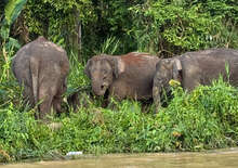 Délkelet-Ázsia Arcai - Budapest, Repülő