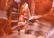 A Vadnyugat nemzeti parkjai és San Francisco - Budapest, Repülő