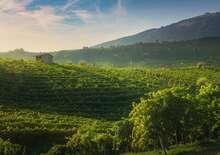 Kalandozás a Prosecco hazájában -  BUD, Repülő