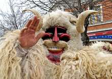 Egynapos kirándulás Mohácsra, busójárás idején - Budapest, Busz