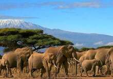 Szafari Tanzániában Zanzibári pihenéssel -  BUD, Repülő