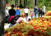 Ljubljana és a szomszédos arborétum tulipánvirágzáskor - Budapest, Busz