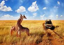 Serengeti szafari program pihenéssel Zanzibár szigetén - 2027. március - Budapest Budapest, Repülő