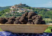 Szarvasgomba fesztivál és kóstoló az Isztrián - Budapest Budapest, Busz