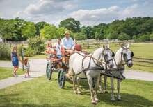 Húsvéti élménykörút: Schloss Hoftól a Kittsee Csokigyárig - Budapest, Busz
