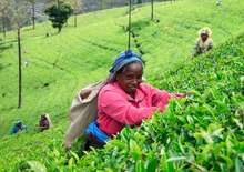 Karácsony Srí Lankán és Maldív-szigetek -  BUD, Repülő