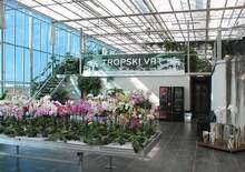 Orchideafarm és Tulipánmező - Budapest, Busz