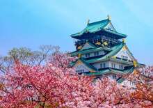 Japán a cseresznyevirágzás idején -  BUD, Repülő