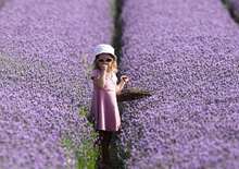 Látogasson el velünk a tihanyi levendulaszüretre! - Budapest, Busz