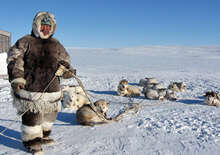 Eszkimók között Grönland hómezőin