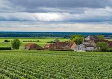 Burgundia - bor és kultúra Lyontól Dijonig (Burgundia - bor és kultúra Lyontól Dijonig) -  BUD, Repülő