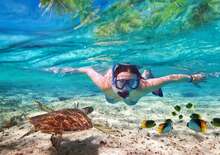 Maldív-szigetek / Sun Siyam Vilu Reef*****
