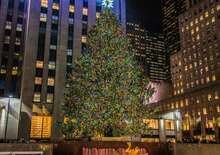 Ünnepek az Egyesült államokban -  BUD, Repülő