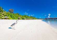 Sun Siyam Olhuveli **** TP
