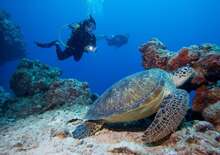Komandoo Island Resort &amp; Spa ***** TP 18+