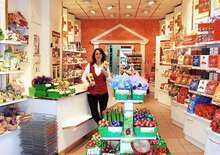 Advent Bécsben: vásárlás a Heindl csokimúzeumban és szabadprogram - Budapest, Busz