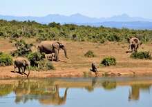 AZ IGAZI DÉL-AFRIKA - VIKTÓRIA-VÍZESÉS ÉS A CHOBE NEMZETI PARK