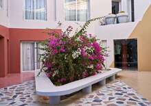 TurtleS Inn - BTS BTS, Repülő