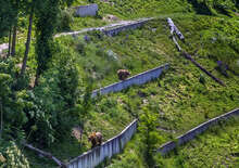 A hófödte hegyek közt Svájcban - Budapest, Repülő