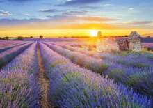 Romantikus Provence