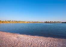 Desert Rose Resort