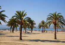 WHALA!BEACH
