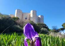Puglia másik arca