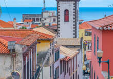 Madeira mesés kertjei