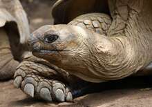 Ecuador és a Galápagos-szigetek mesés világa - kiscsoportos körutazás