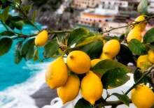 Amalfi partvidék csodái-Nápoly-Capri-Sorrentoi félsziget  5 nap/4 éj repülő
