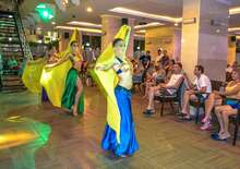 Citrus Plaza (Ex- Artemis Princess Hotel)***+ - AI