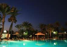 Riadh Palms