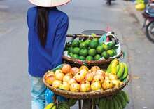 Dél-Vietnam és Kambodzsa felfedezése Thaiföldi trópusi pihenéssel februárban