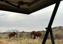 Szafari (2+5) - BETEKINTŐ - Budapest BUD, Repülő