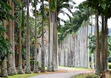 Nagy Srí Lanka körutazás Maldív-szigeteki pihenéssel, dubaji villámlátogatással 2026 március - Budapest Budapest, Repülő