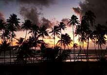 Srí Lanka februárban - Ceyloni krónikák - csoportos körutazás tengerparti pihenéssel - Budapest Budapest, Repülő