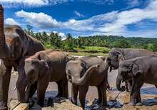 Srí Lanka februárban - Ceyloni krónikák - csoportos körutazás tengerparti pihenéssel - Budapest Budapest, Repülő
