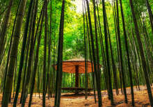 Körutazás Dél-Koreában