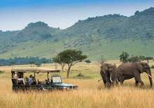 Szafari (2+5) - MASAI MARA